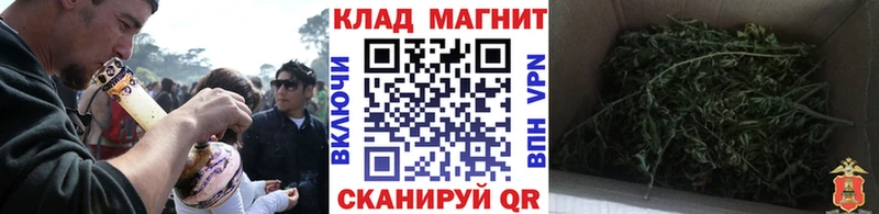 Что такое Новодвинск ГАШ Конопля Псилоцибиновые грибы Мефедрон А ПВП