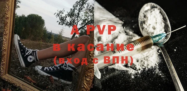 индика Арсеньев