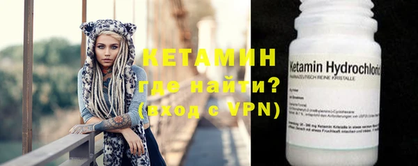 индика Арсеньев