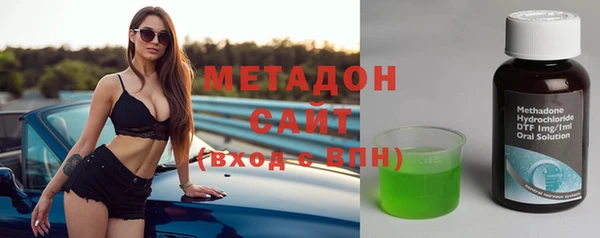 индика Арсеньев
