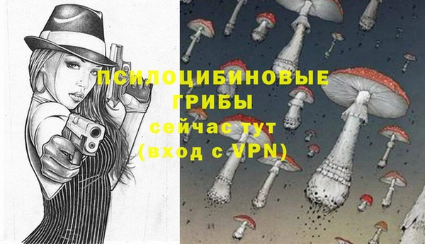 ALPHA-PVP Аркадак