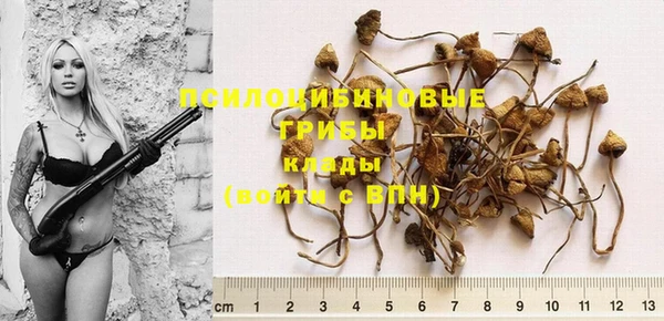 индика Арсеньев