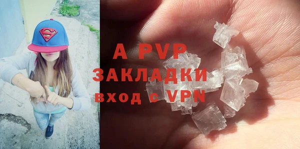 индика Арсеньев