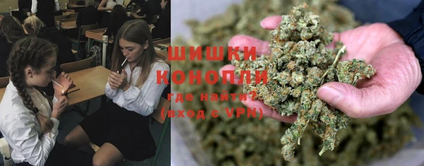 индика Арсеньев
